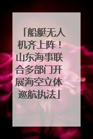 船艇无人机齐上阵！山东海事联合多部门开展海空立体巡航执法